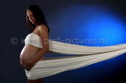 Afbeelding › Profi-pictures