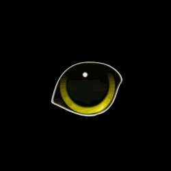 Afbeelding › Purrfect Fotografie