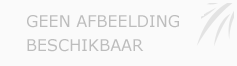 Afbeelding › Foto Hekkert